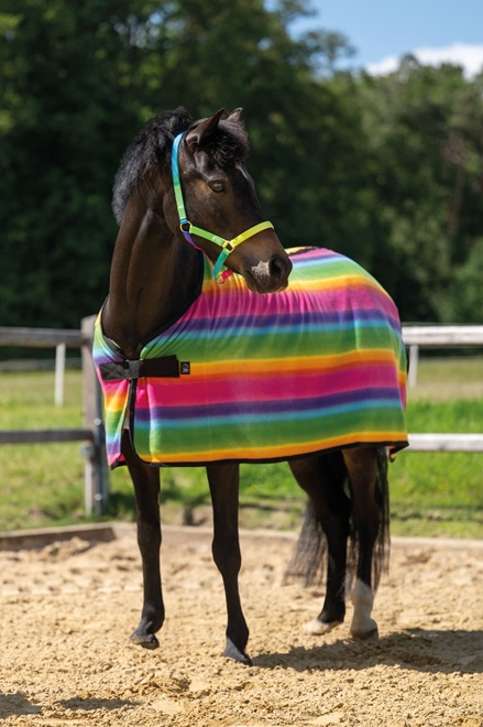 COPERTA PILE RAINBOW SHETTY Lana e Pile 